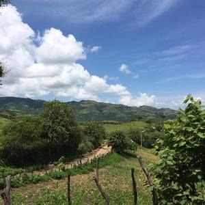 Meet your Posher, Hernández